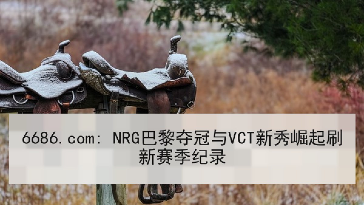 6686.com: NRG巴黎夺冠与VCT新秀崛起刷新赛季纪录